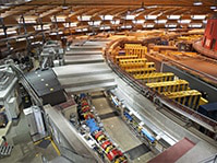 时间分布TIMING DISTRIBUTION